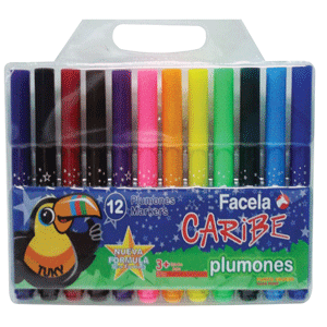 PLUMONES ESTUCHE VINIL MAGICO 12 UNIDADES PLUMONES ESTUCHE VINIL MAGICO 12 UNIDADES